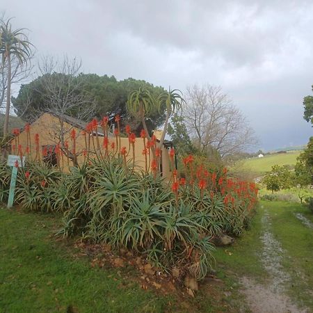 Vila Swaynekloof Farm Botrivier Exteriér fotografie