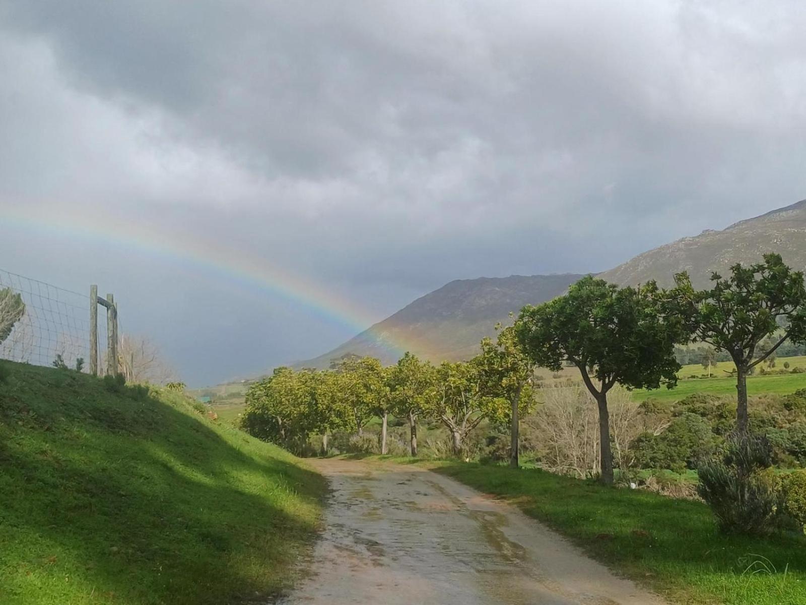 Vila Swaynekloof Farm Botrivier Exteriér fotografie