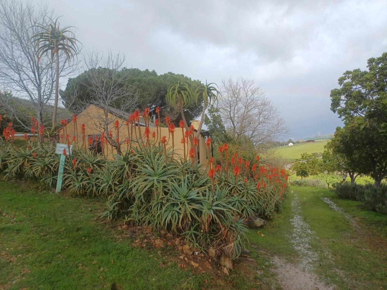 Vila Swaynekloof Farm Botrivier Exteriér fotografie